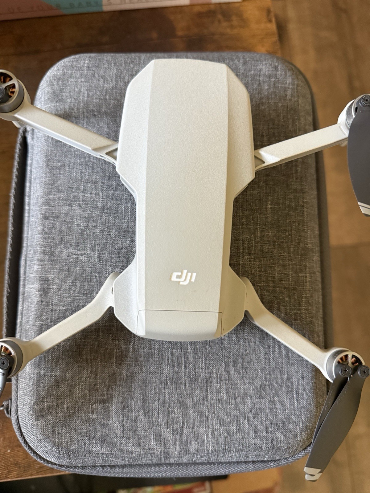DJI Mavic Mini
