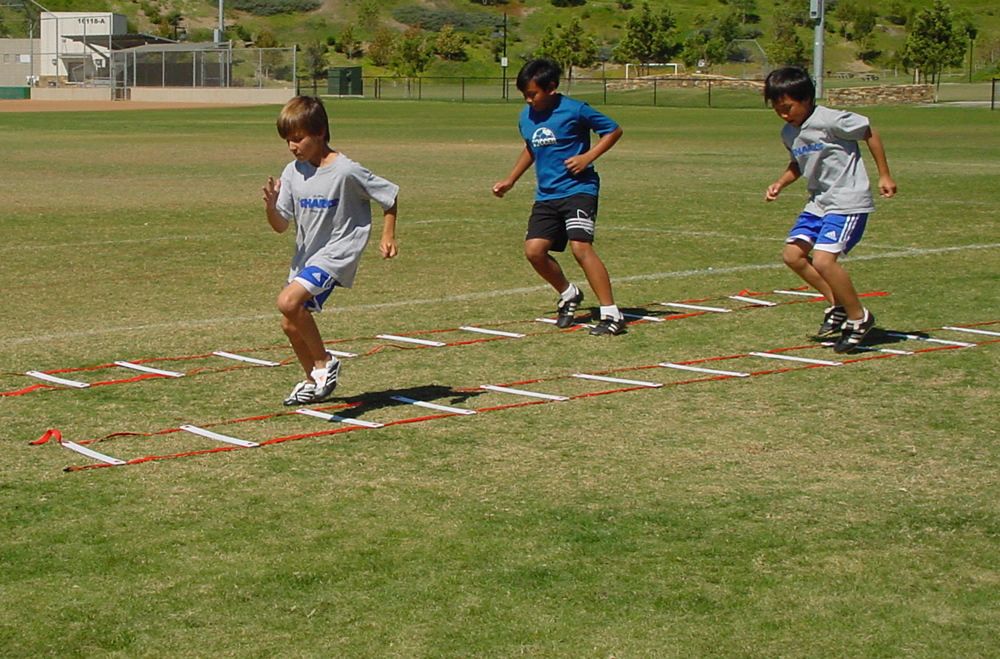 Football Speed Agility Training Sports Equipment Ladder 15 Feet Soccer