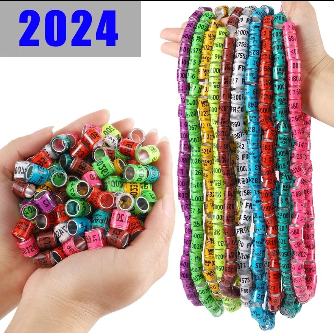 100 Pigeon rings 2024, ANILLOS DE PALOMAS 2024