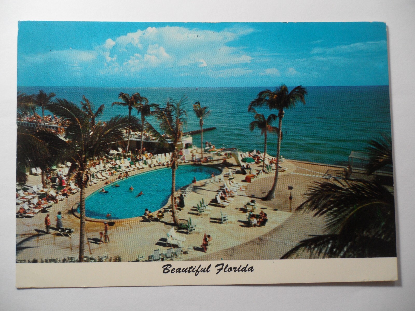 STAMPMART : USA TROPICAL SOUTHERN COAST OF FLORIDA USED POSTCARD