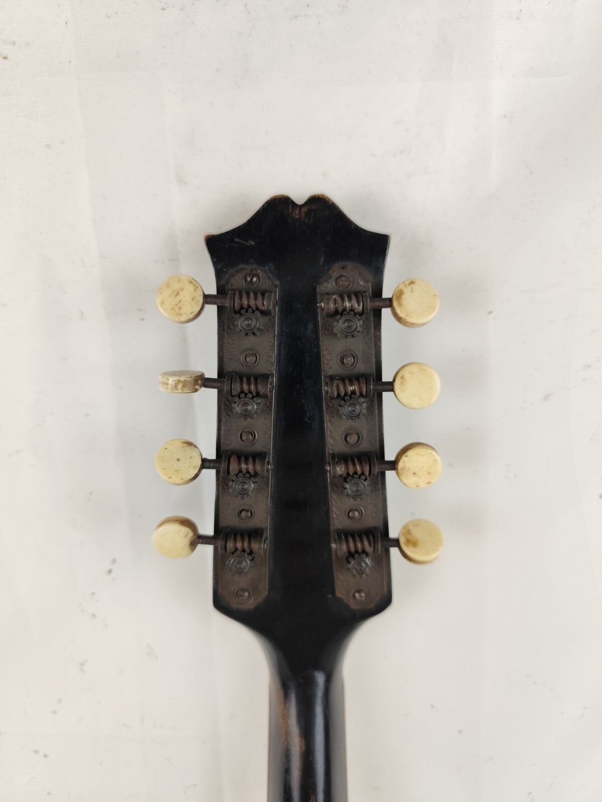 Mandolin 4/4 Gennaro E Achille Vinaccia 1890 Naples 曼陀林 만돌린マンドリン