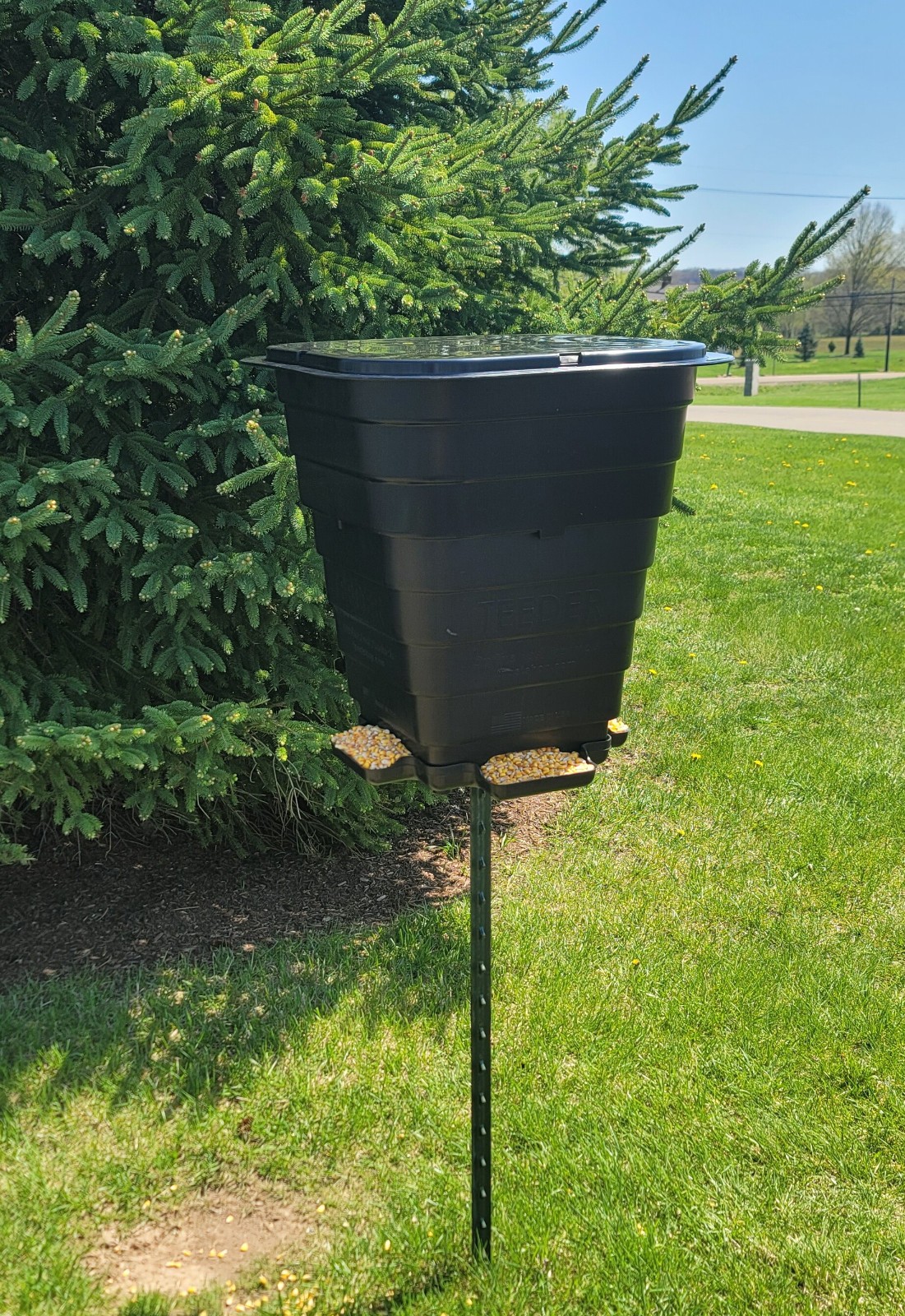 Deer feeder