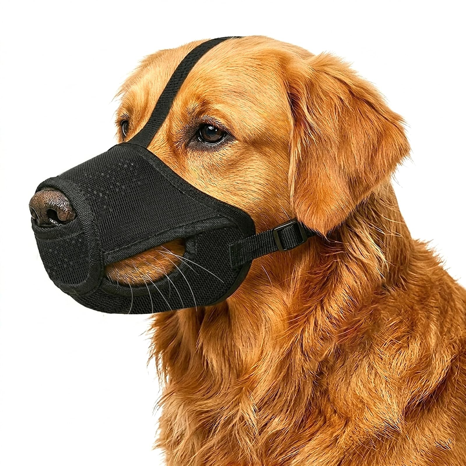 Colenumone Dog Muzzle Soft Mesh for Small Medium Large Dogs No Biting Barking