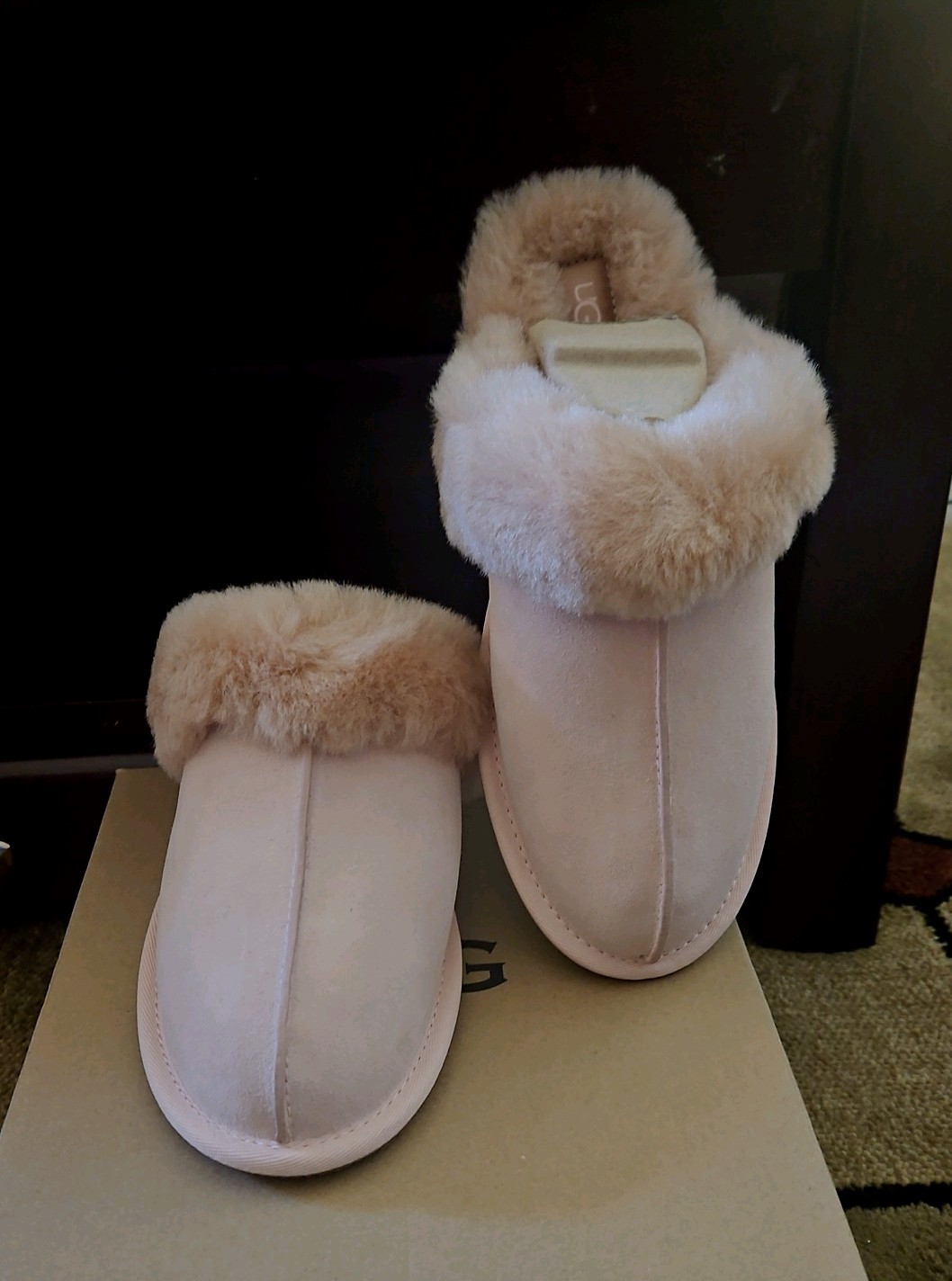 NIB UGG Women's Scuffette in Beige Blush