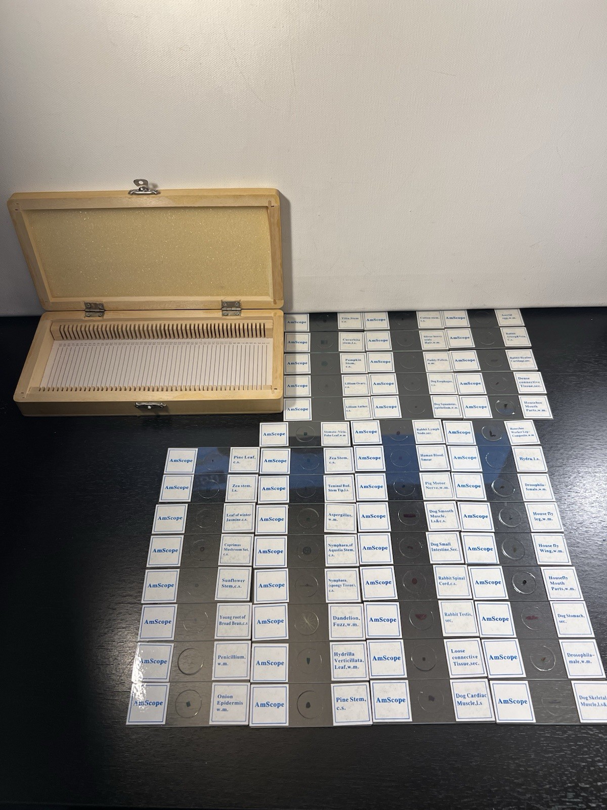 AmScope 50pc Prepared Biology Microscope Slides In Wooden Case