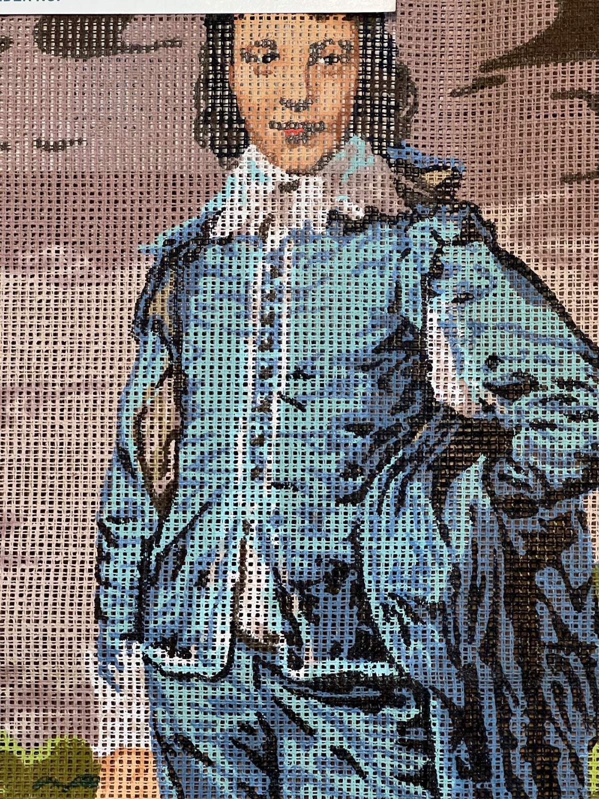 Bucilla Imported Painted Needlepoint Canvas 23024 Blue Boy, EUC