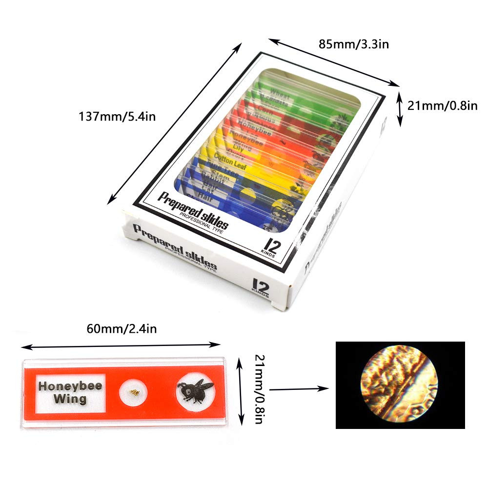 Prepared Microscope Slides, 48pcs Plastic Animals Insects Plants Flowers Sample