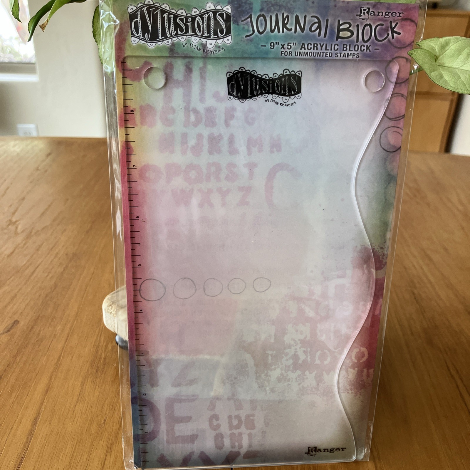 Delusions Journal Block 9” X 5” Acrylic Block, DYA36999