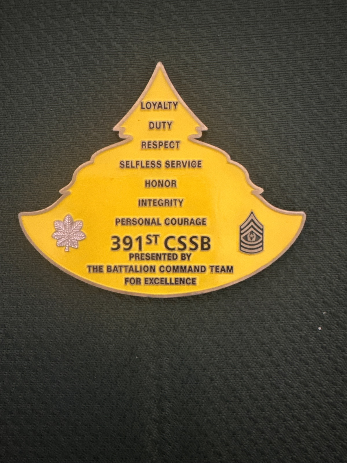 Firepower For Landpower 391st CSSB ( THE BATTALION COMMAND TEAM FOR EXCELLENCE)