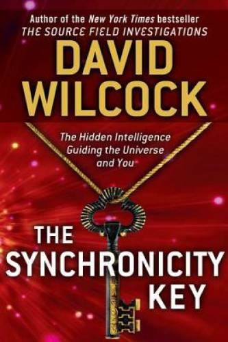 The Synchronicity Key: The Hidden Intelligence Guiding the Universe  - GOOD