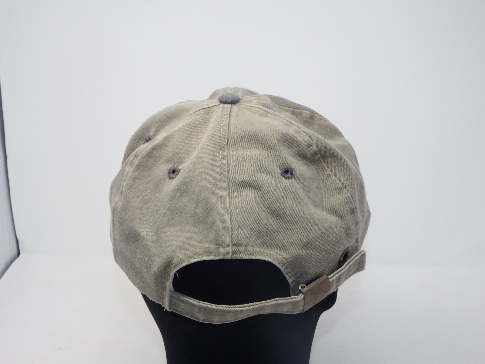 POTOMAC CANNONS (NO LONGER) MINOR LEAGUE BASEBALL Four Seasons HAT ADJUSABLE
