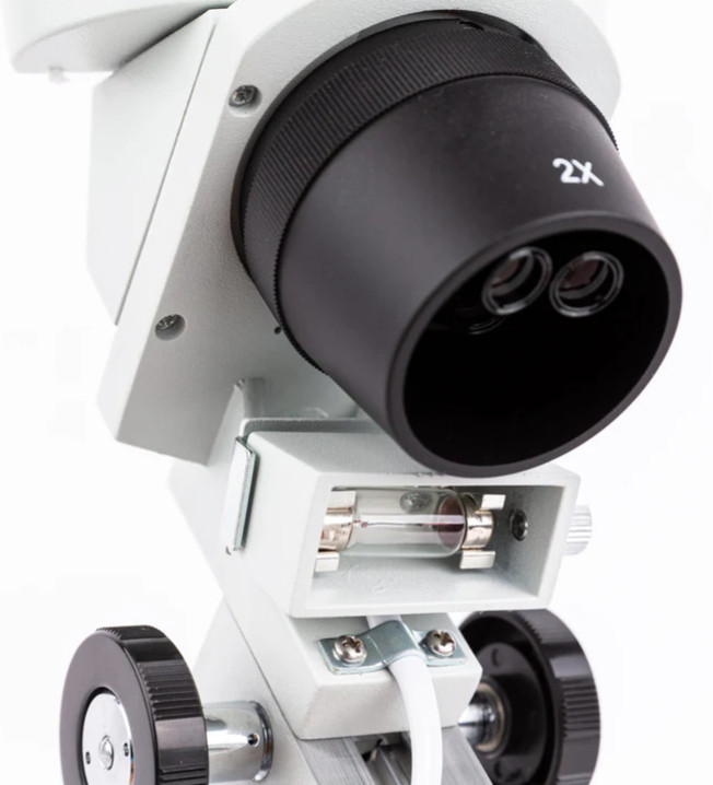 AmScope SE306R-PZ Binocular Stereo Microscope on a Pillar Stand