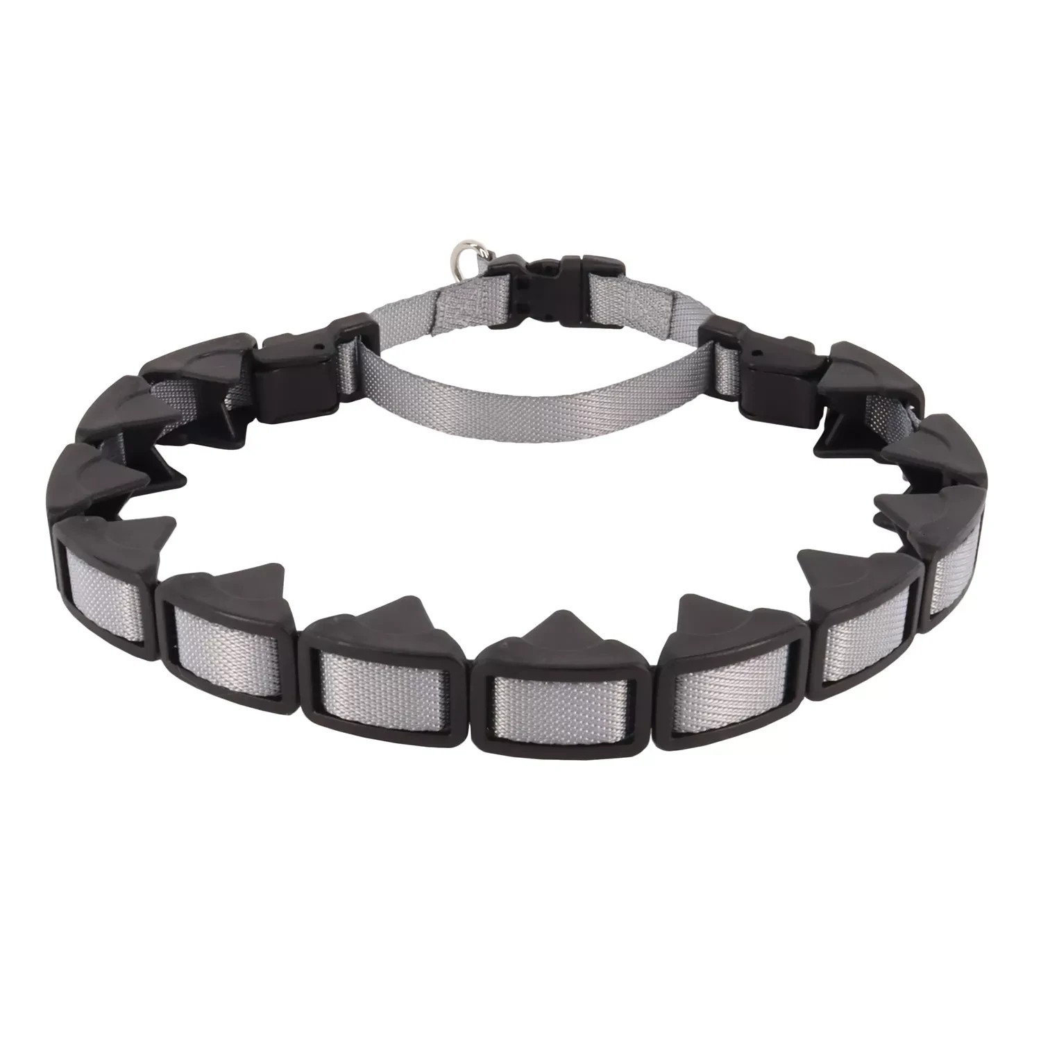 Coastal Natural Control Training Collar Large  1" x 22"