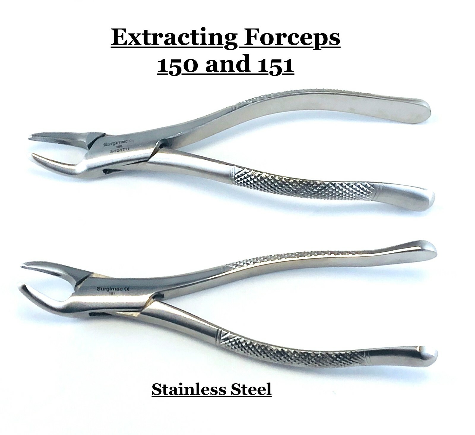 Extracting Forceps 151 -- Stainless Steel MAC