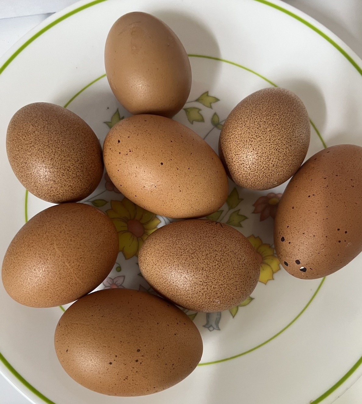 Welsummer Eggs 💯 Pure!