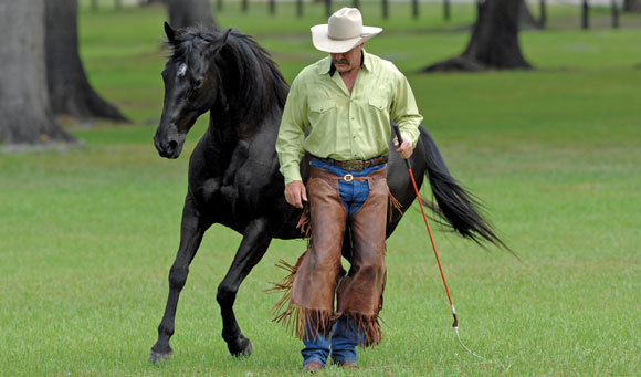 Parelli Patterns - On Line Patterns - NATURAL HORSEMANSHIP EQUINE TRAINING NICE