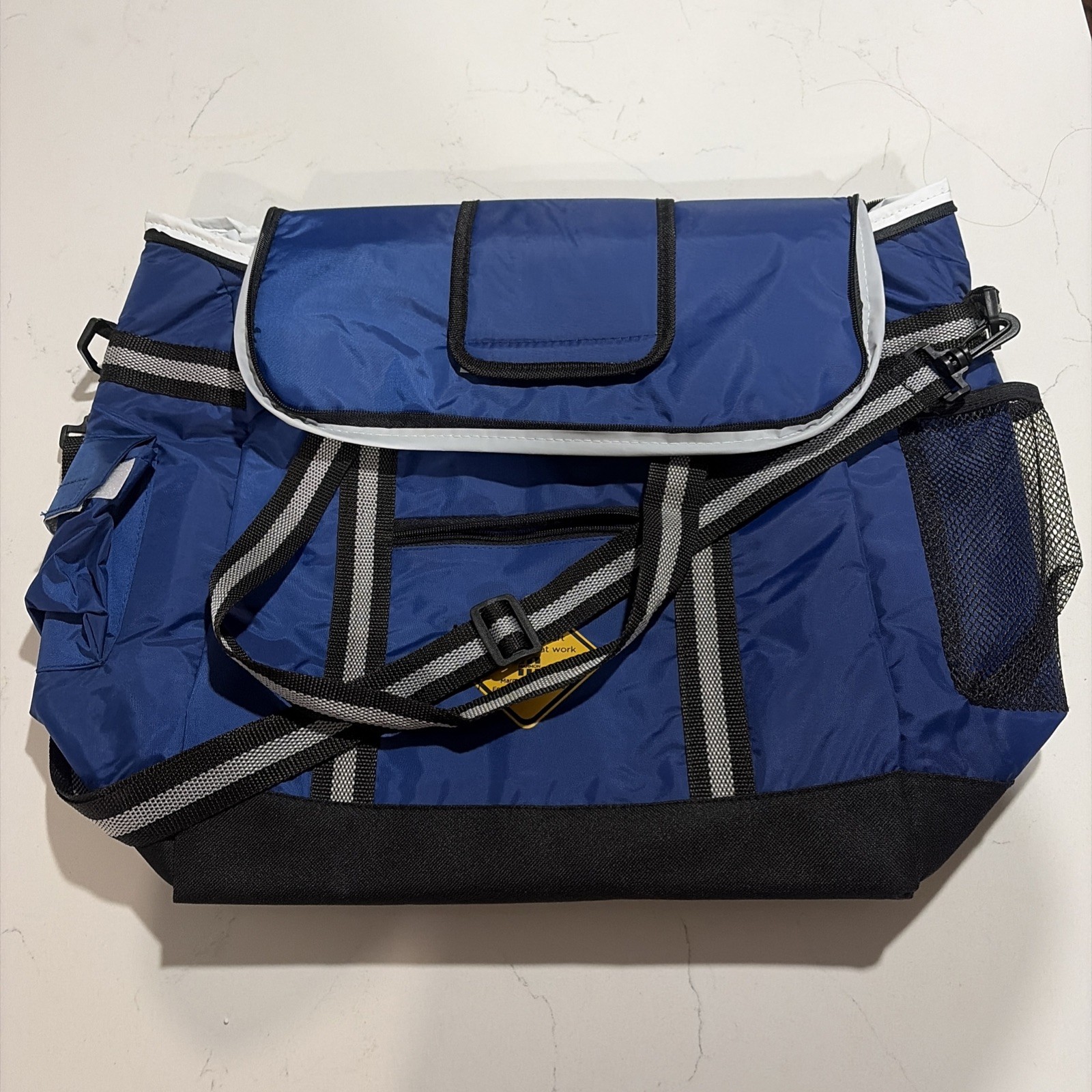 15" x 16" x 7" Insulated Portable Cooler Bag Double Handles Blue Bayer