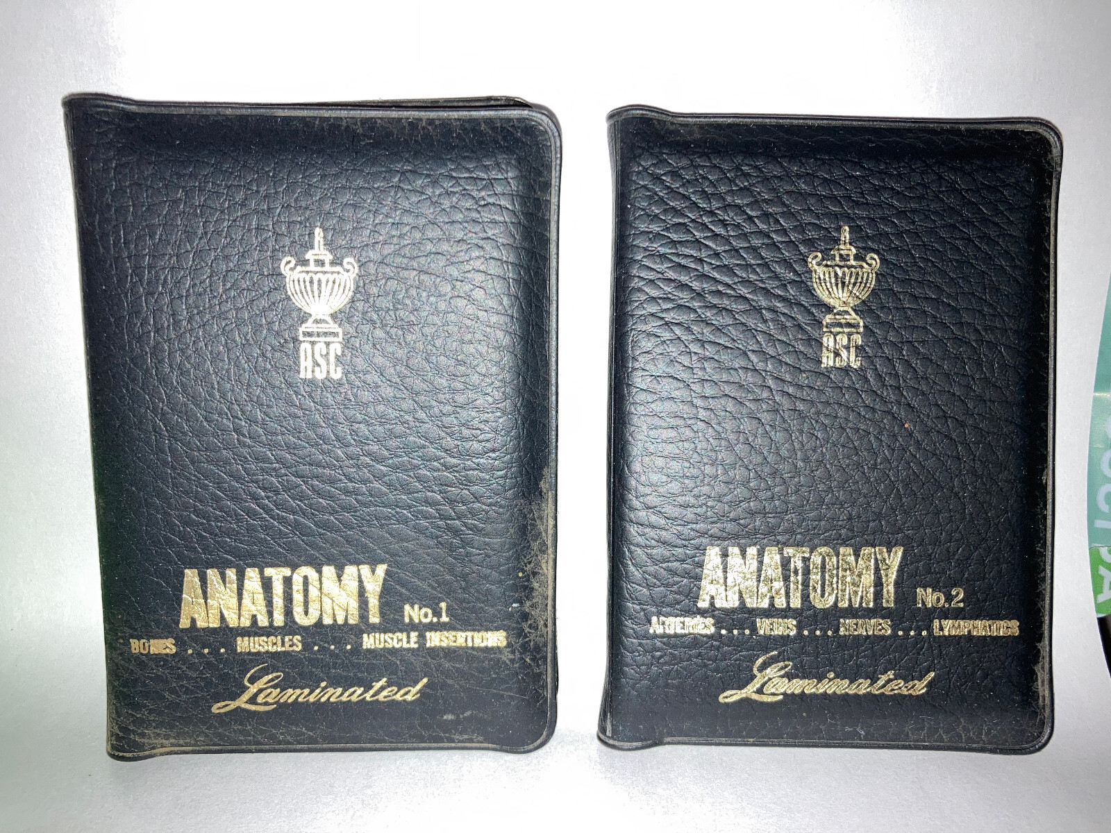 Two Sets ASC Anatomy Laminated Double Sided Cards