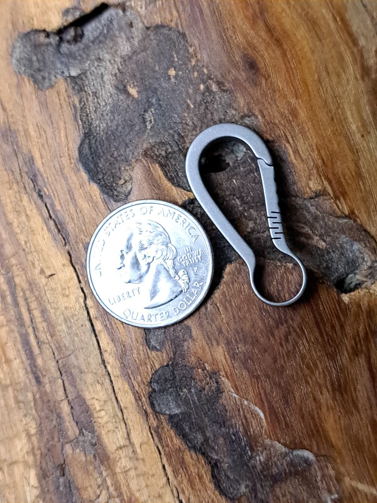 Pro Mini Series Titanium Carabiner