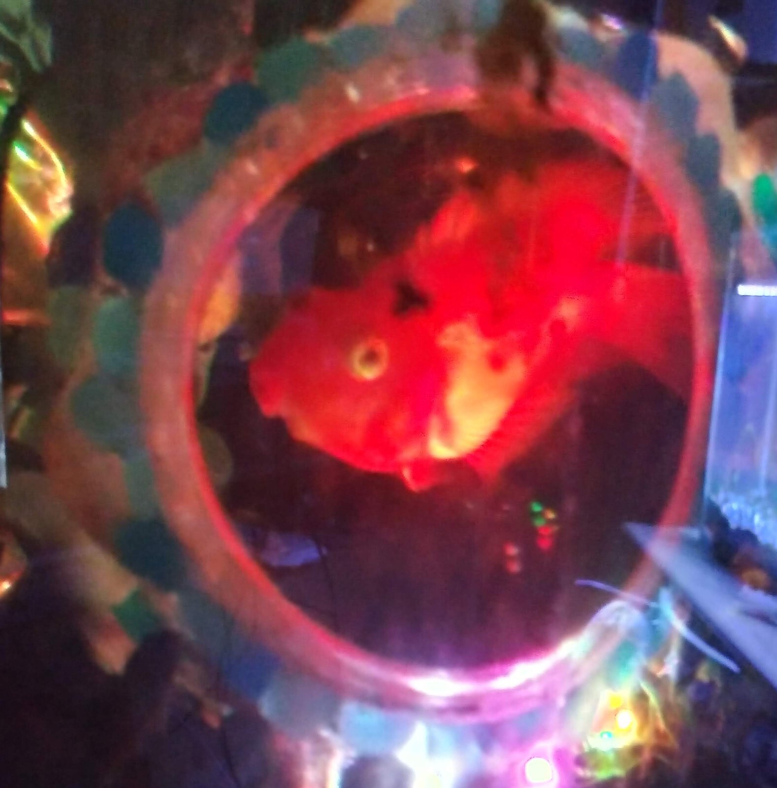 Small glass crystal fish cave aquarium decoration in Blue/Grn Glow in the Dark!