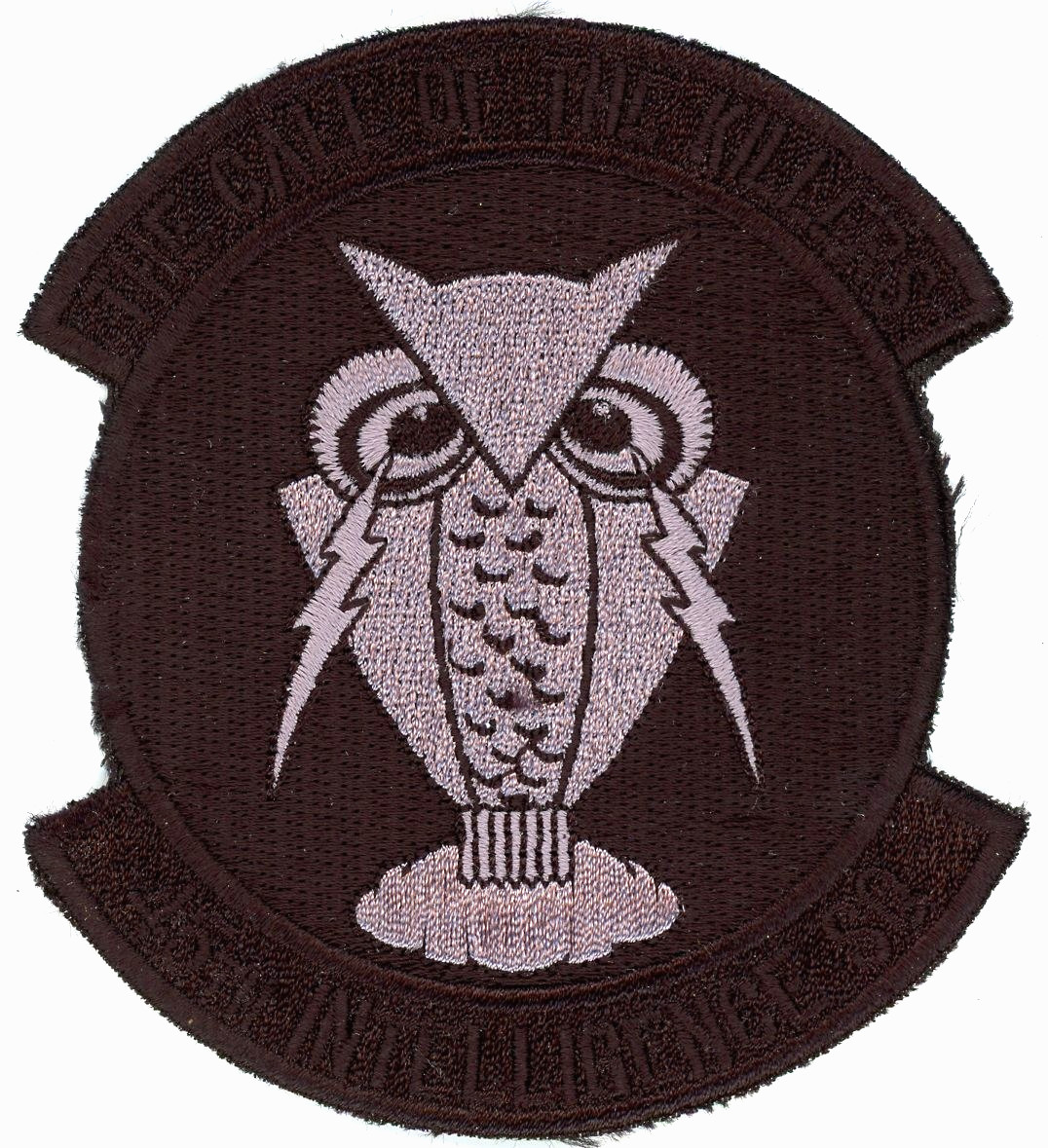 US Air Force Patch: 45th Intelligence Squadron (45 IS)