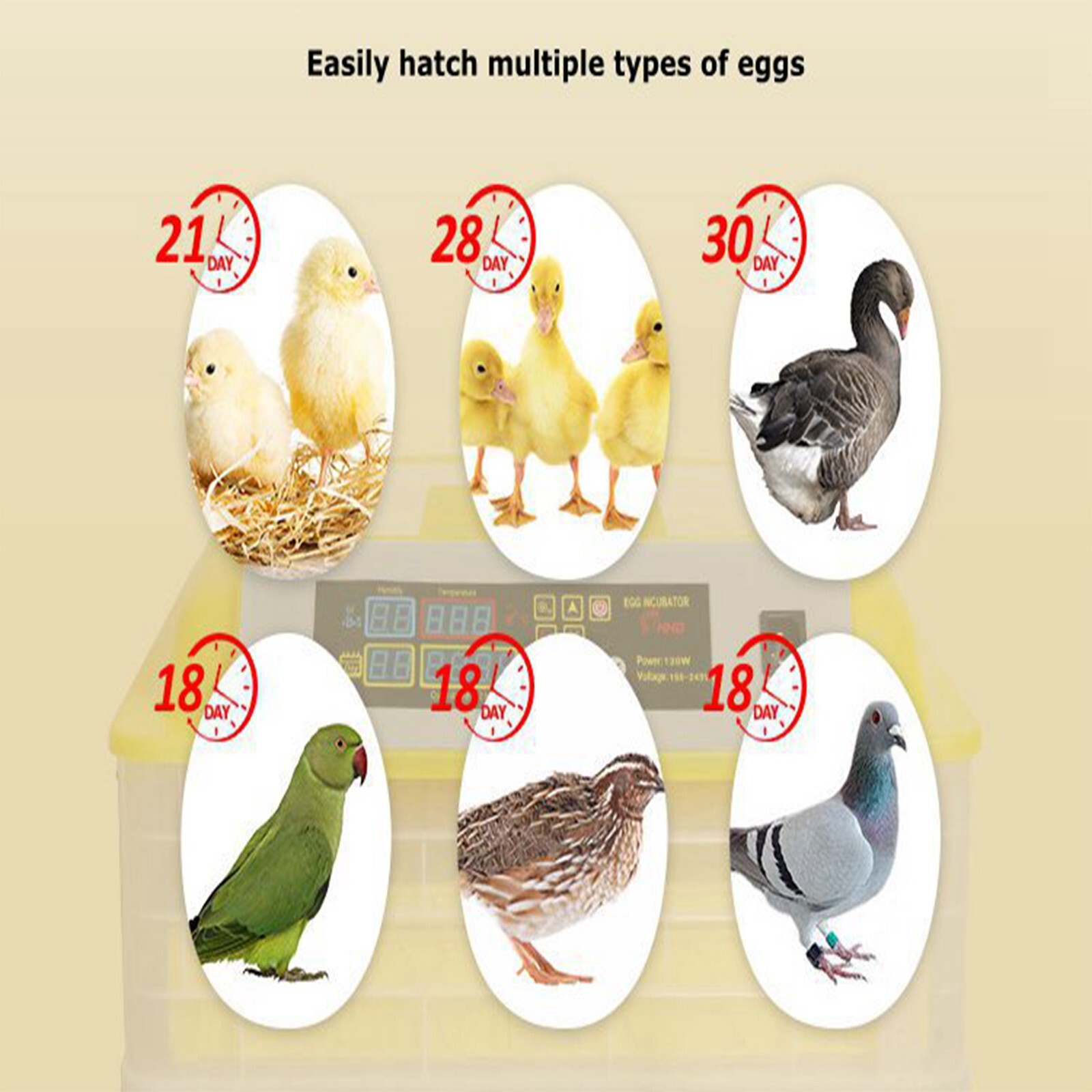 48 Eggs Automatic Egg Bird Incubator Digital Display Hatcher Breeder 110V