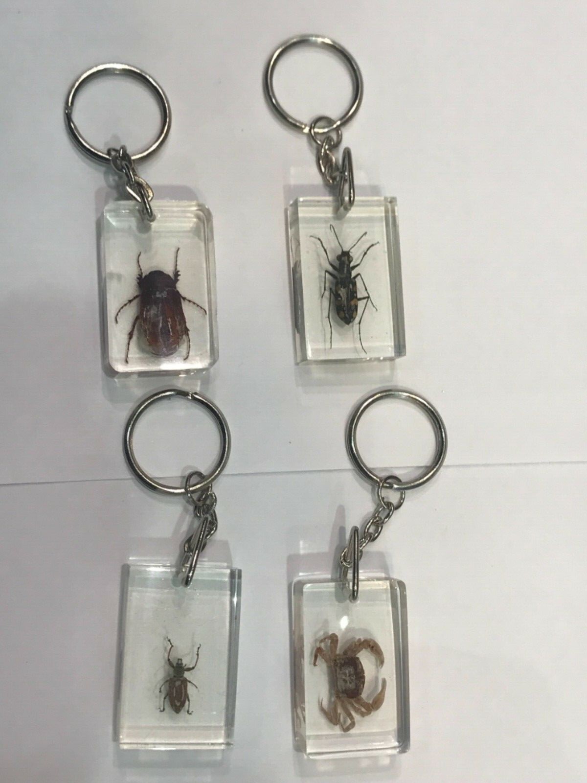 Insects Crystal Clear Keychain 12 Pcs