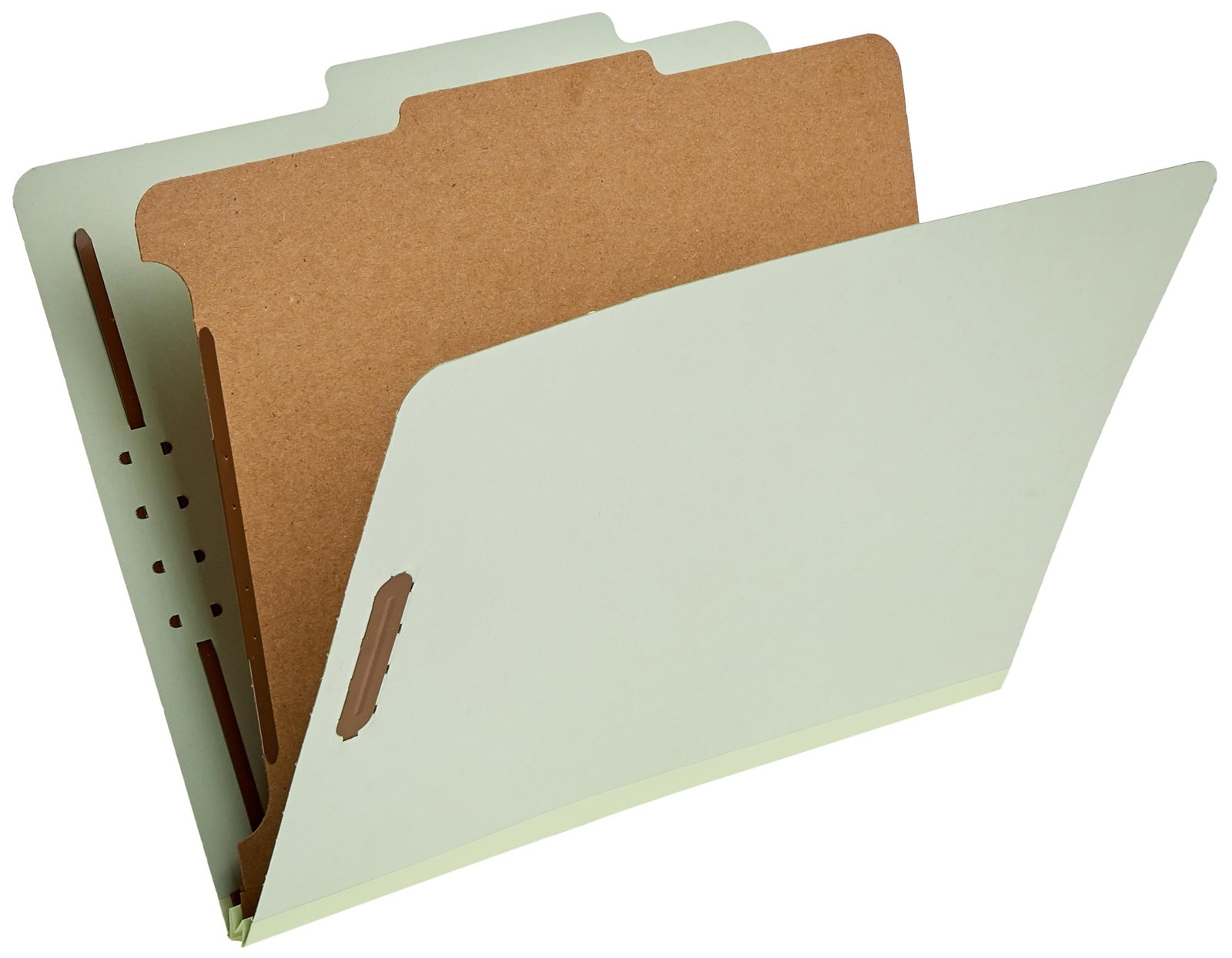 Amazon Basics Classification File 12.05 x 10.47 Inch (Letter), Light Green