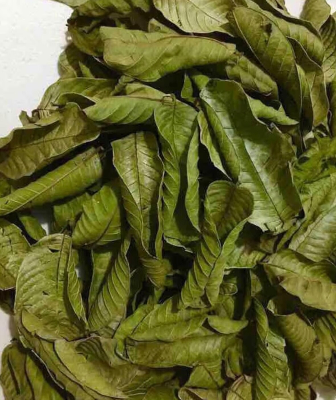 80g - Premium Dried Guava Leaves Hojas De Guayaba Leaf