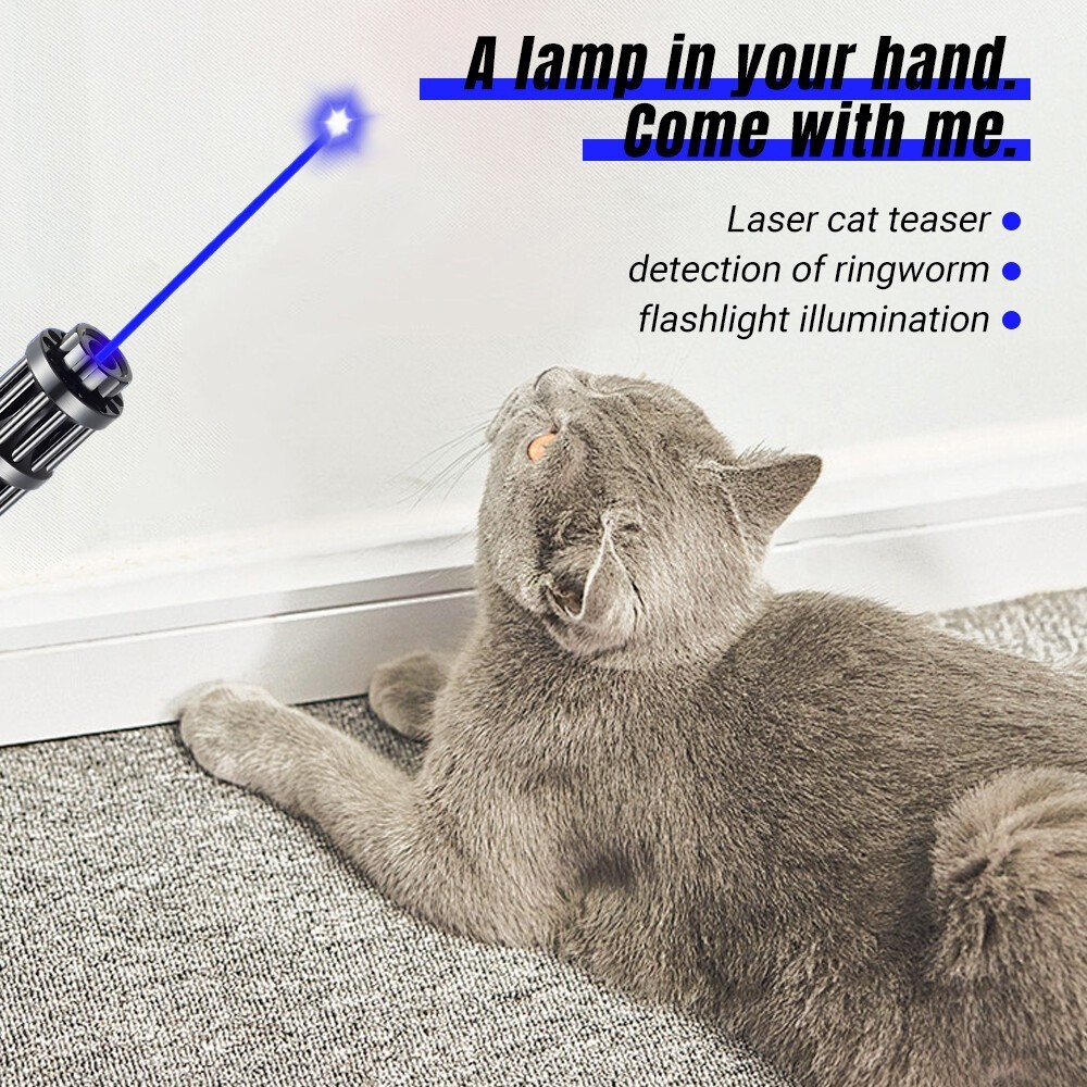 Watt Adjustable High Power Blue Burning Laser Pointer Visible Dot Torch Light US