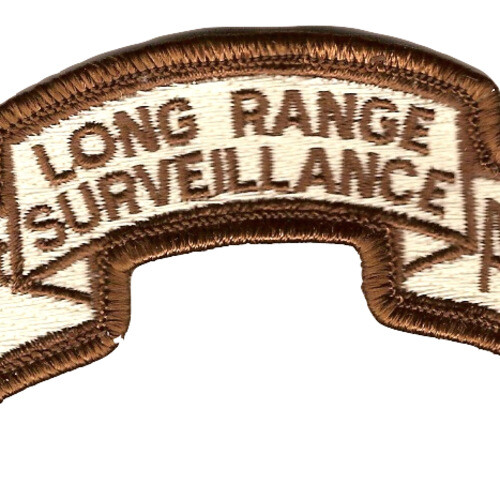 501st LRS Airborne Infantry Desert Patch