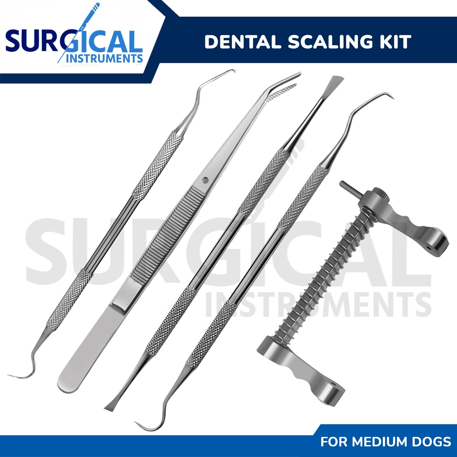 5 Pcs Dental Scaling Kit For Medium Dogs Pet Stainless Steel Surgical Veterinary
