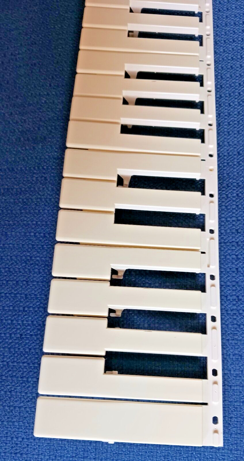 Casio Replacement Part 19 White Keys Set Strip Used for Some Mid-Sized MT Models