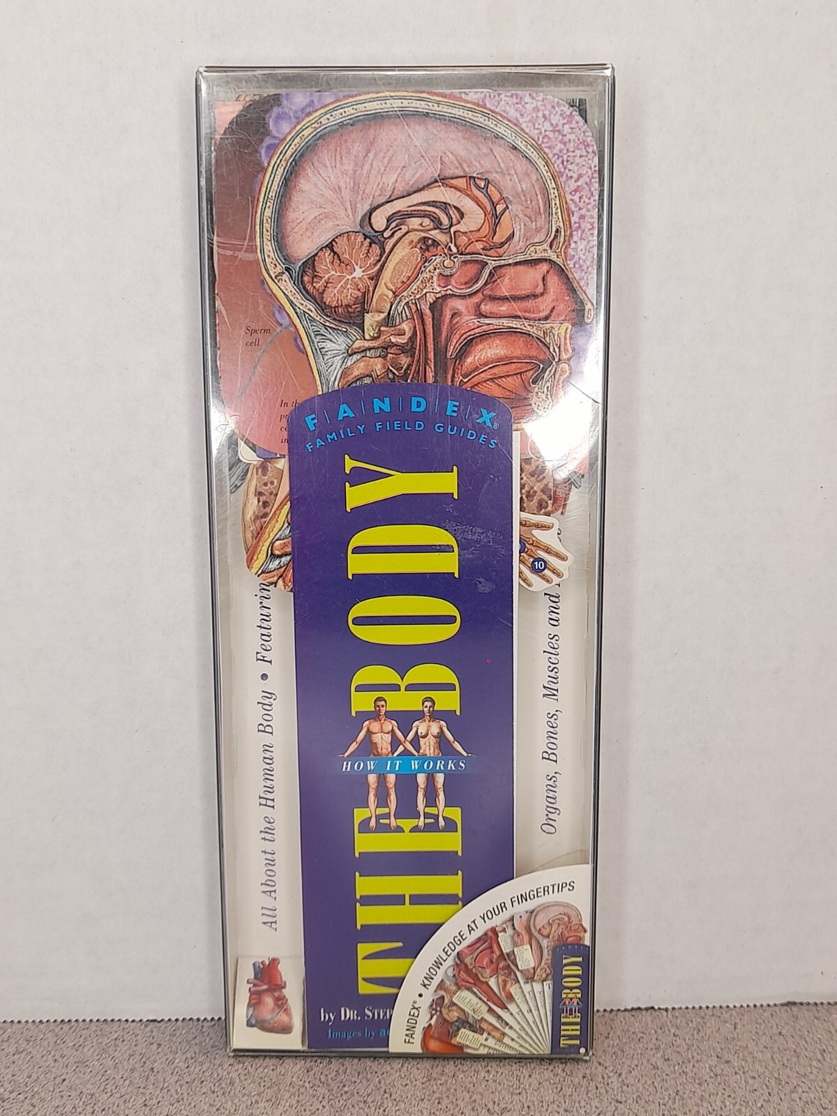 VTG NOS Fandex Family Field Guides The Body Human Anatomy Biology RARE