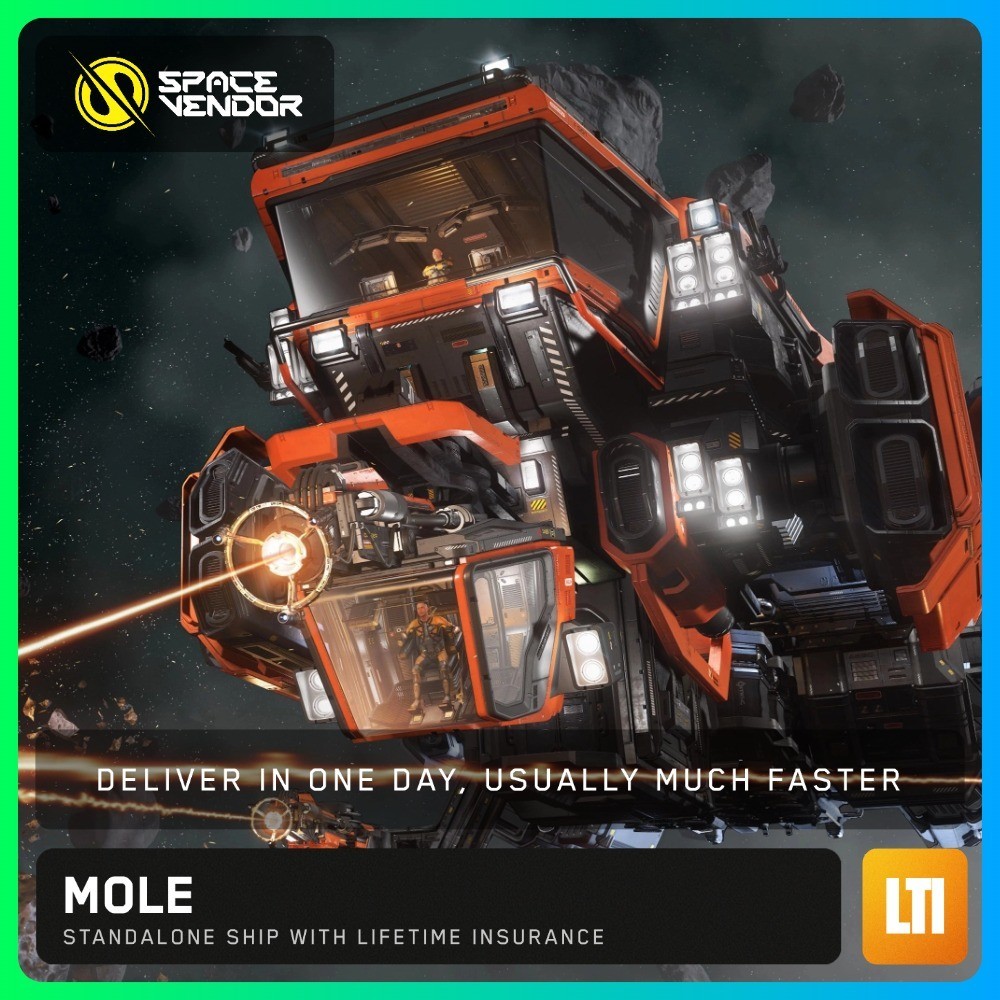 Star Citizen MOLE LTI Lifetime Insurance CCUd - Space Vendor