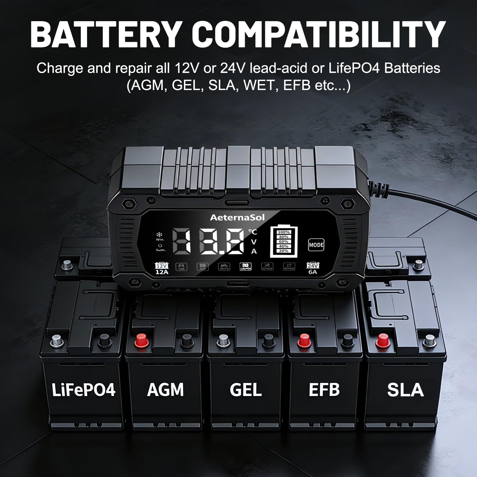 12V 24V Smart Battery Charger, 12A Efficient Fully Auto