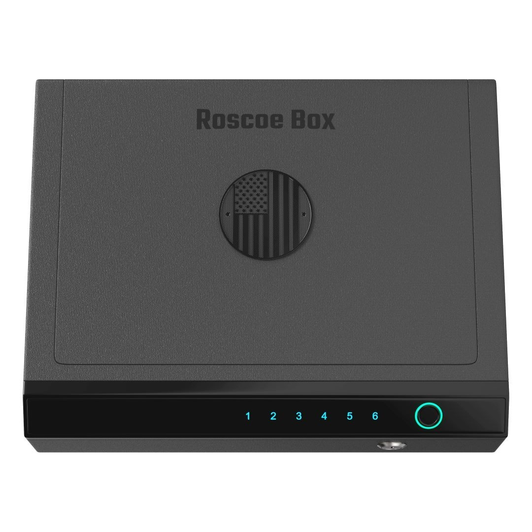 Biometric Gun Safe - Fingerprint, Digital Code, Backup Key, Use cord to plug in