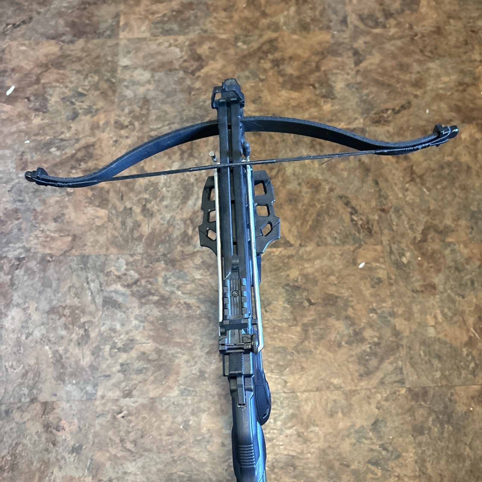 Bear X Desire XL Black Crossbow