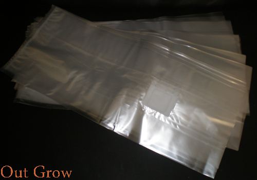 Medium Mushroom Grow Bags (10 bags per sale!)