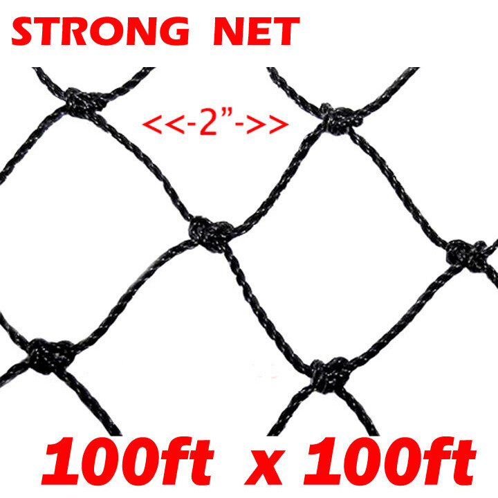 Strong X-Large 100ftX100ft Net Netting For Bird Poultry Gardening Pens 2" Hole