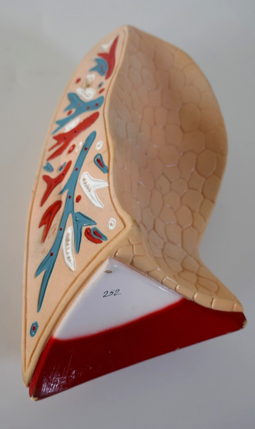 Denoyer Geppert anatomical model lung Replacement