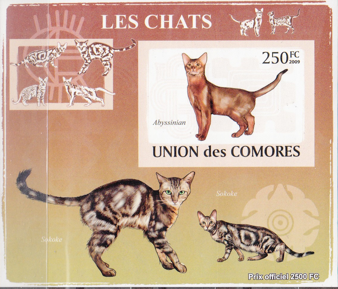 W COMORO Y2009 (50) (2v) CATS