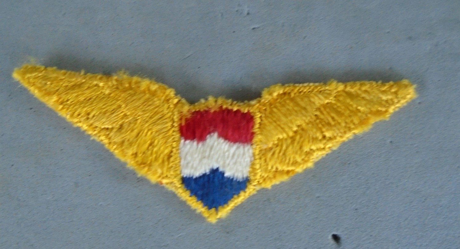 Yellow cloth wings