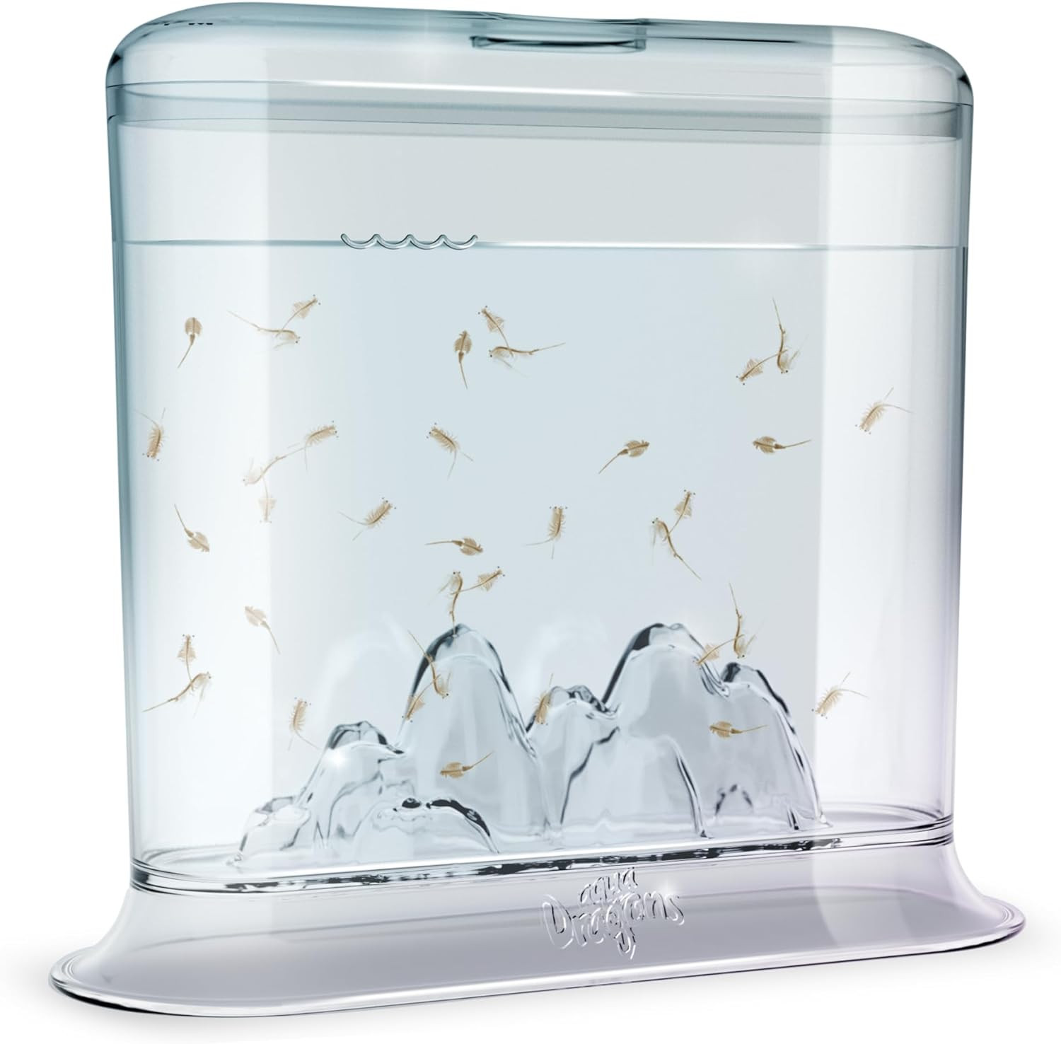 Animagic Aqua Dragons Hatch 'N' Grow Basic Tank | Build an Aquatic Ecosystem