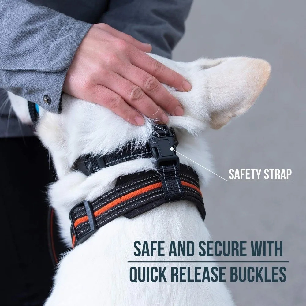 Nylon Material Dog Muzzle Rope Anti-barking S m l Puppy Face Mask Safe De.