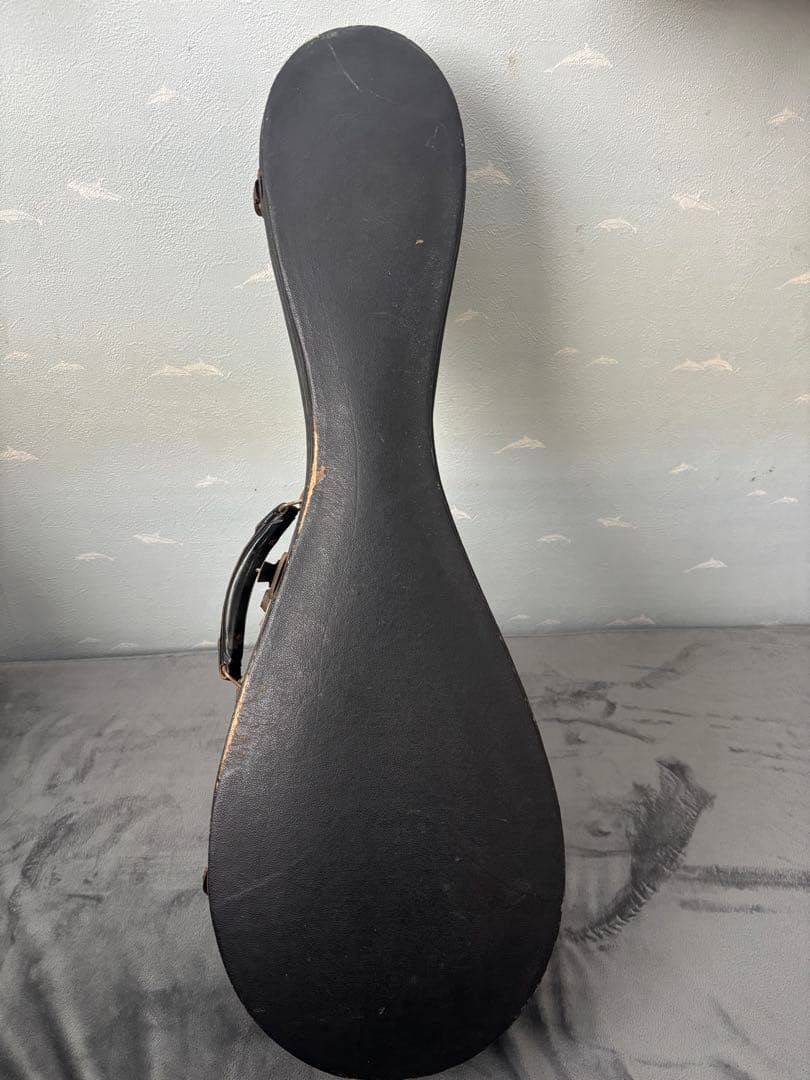 KUNISHIMA wood grain 8 string mandolin with case