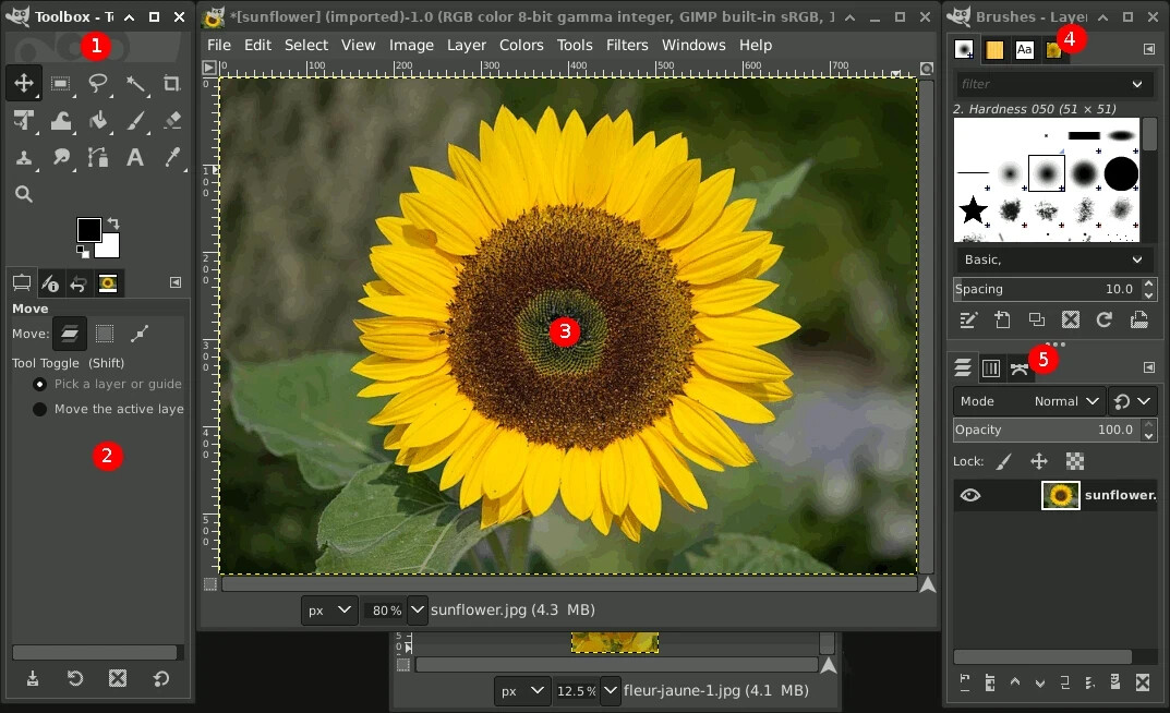 GIMP 3.2.4 (2026) Pro Graphic Design - Image Editing Software Program CD ~ MAC