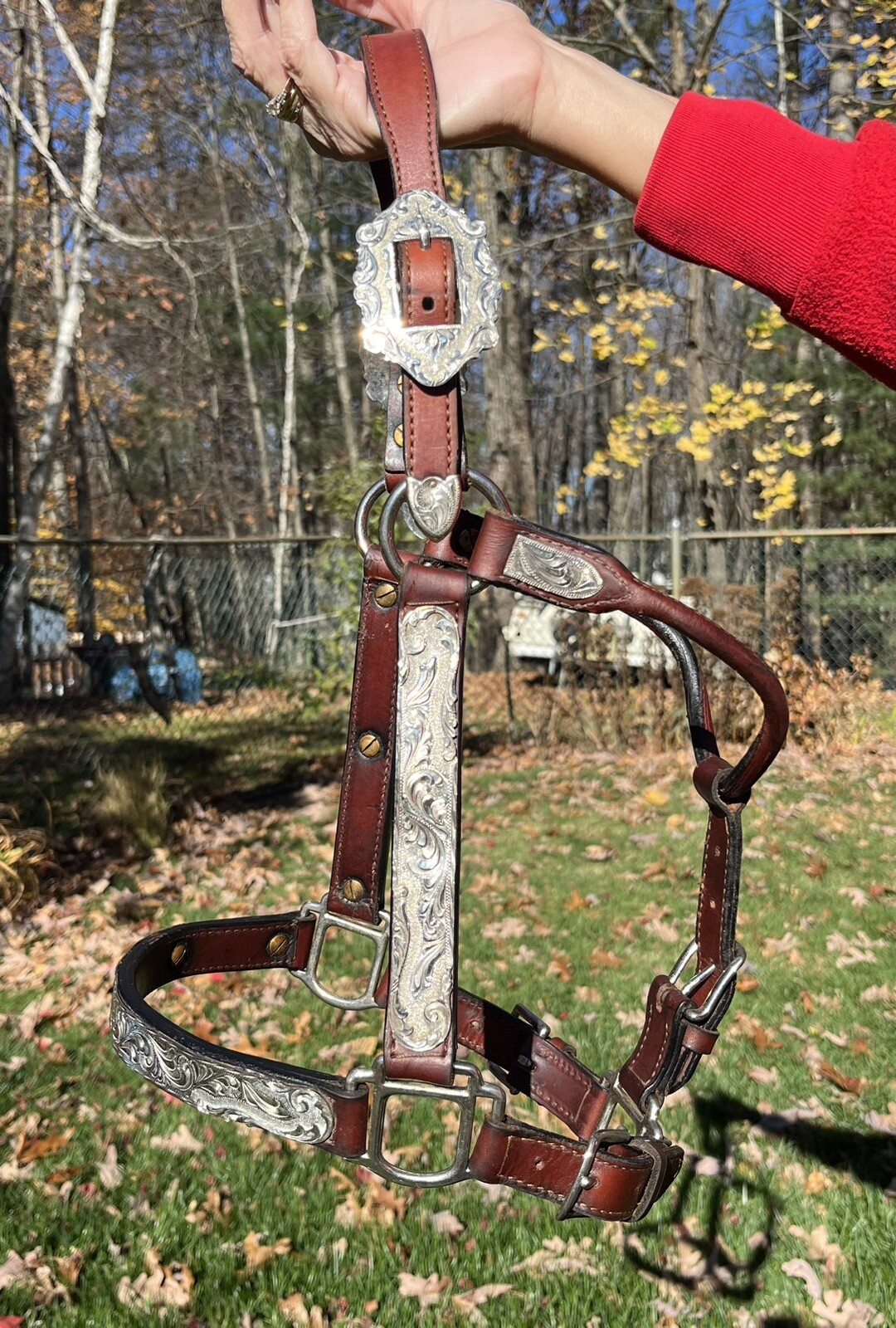 Yearling Show Halter