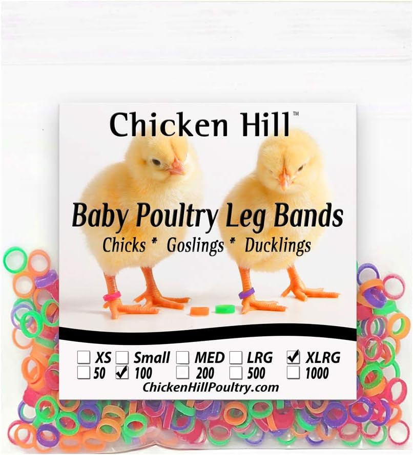 Baby Poultry Chick Leg Bands Size 6 Xlarge (100)