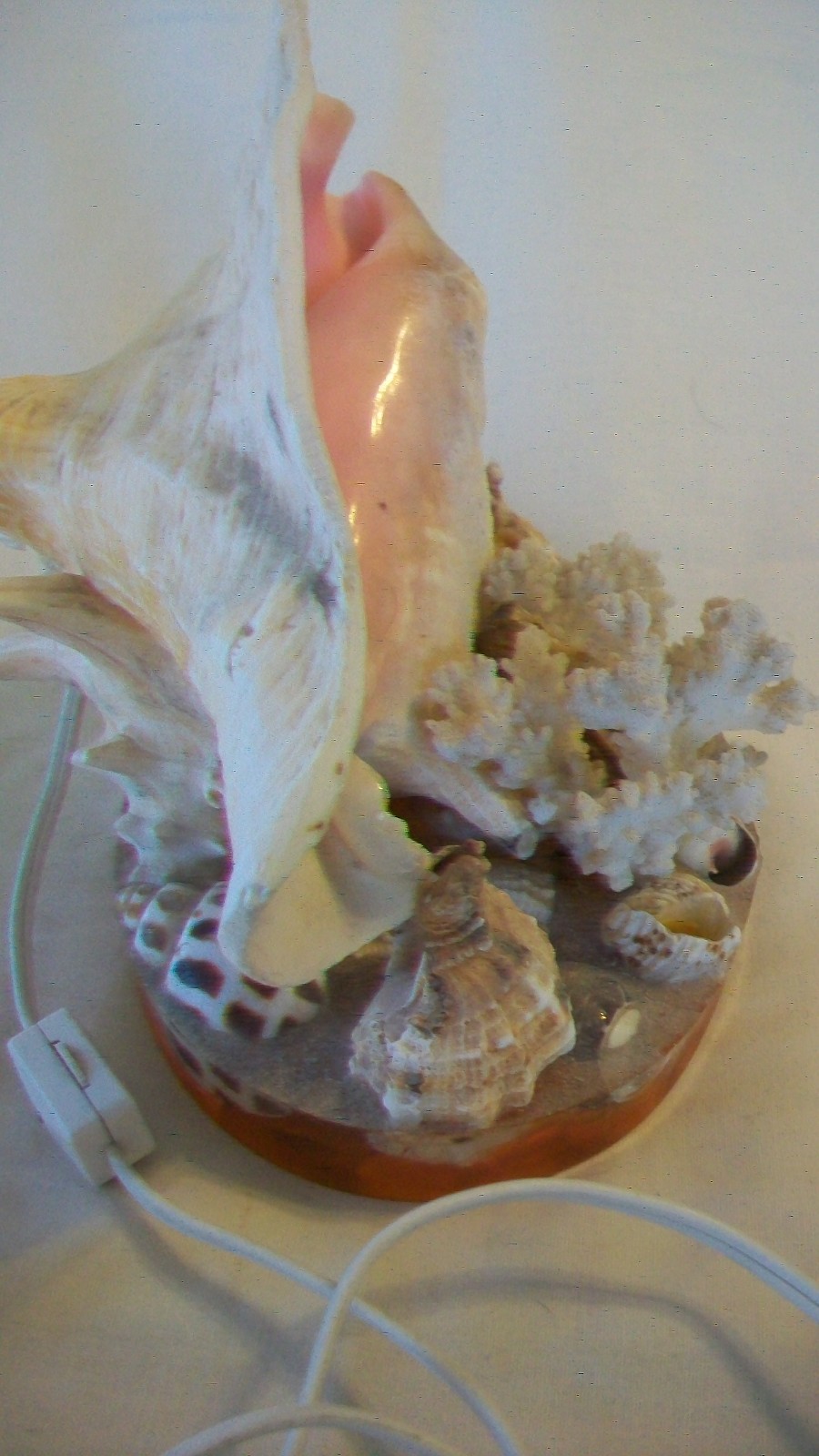 Conch Seashell Night Light with Many Other Shells on Clear Resin Base